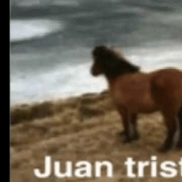bojack